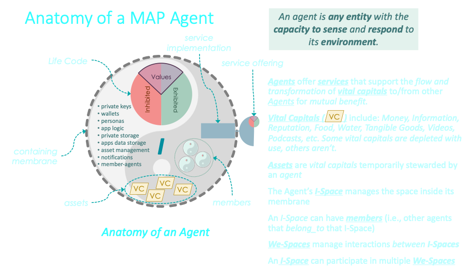 Anatomy of a MAP Agent